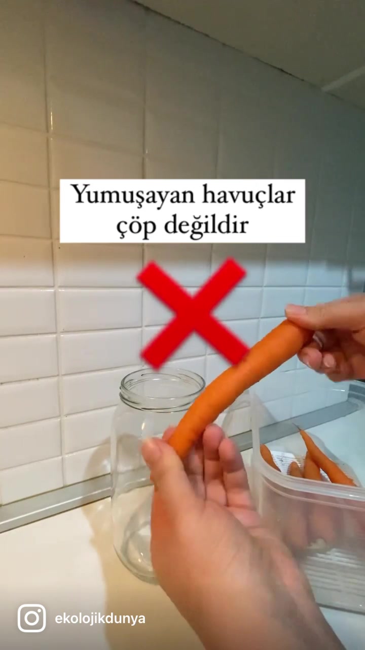 @Ekolojik D&uuml;nya