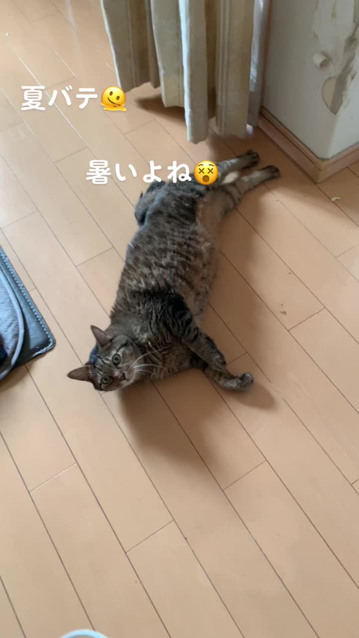 @かず吉🍻