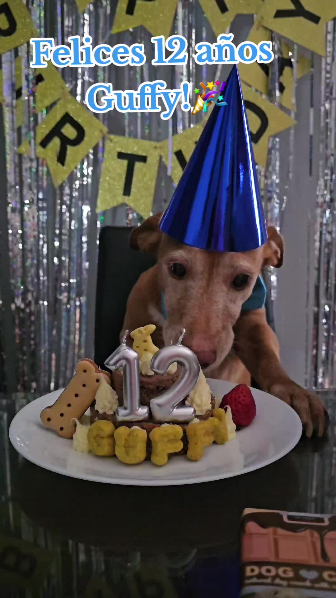 @Guffy_dog