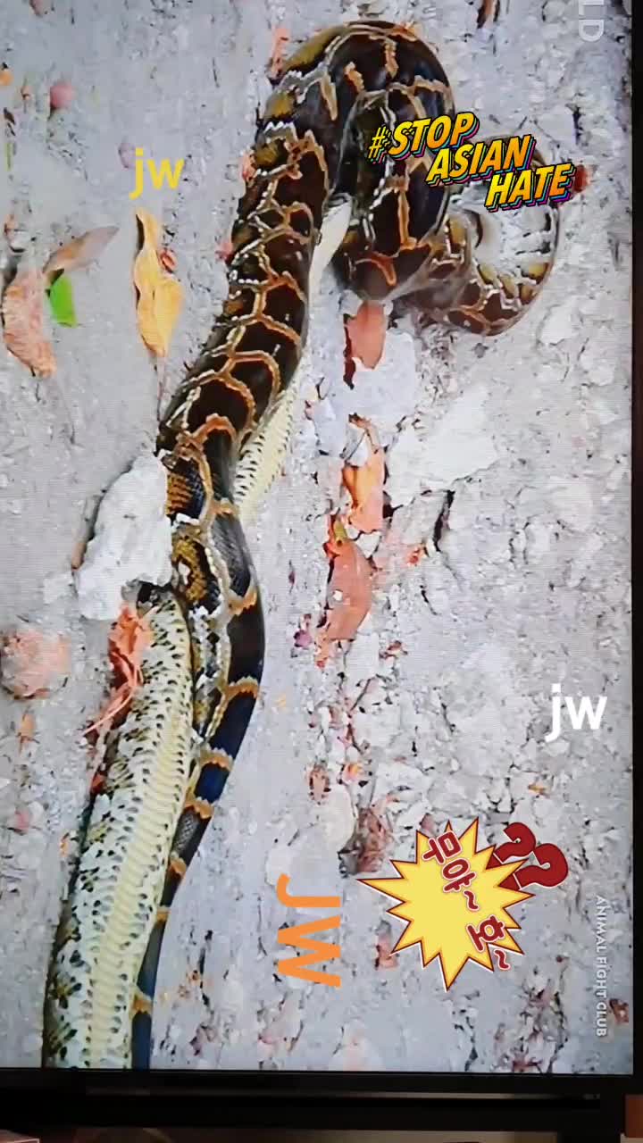 @JW