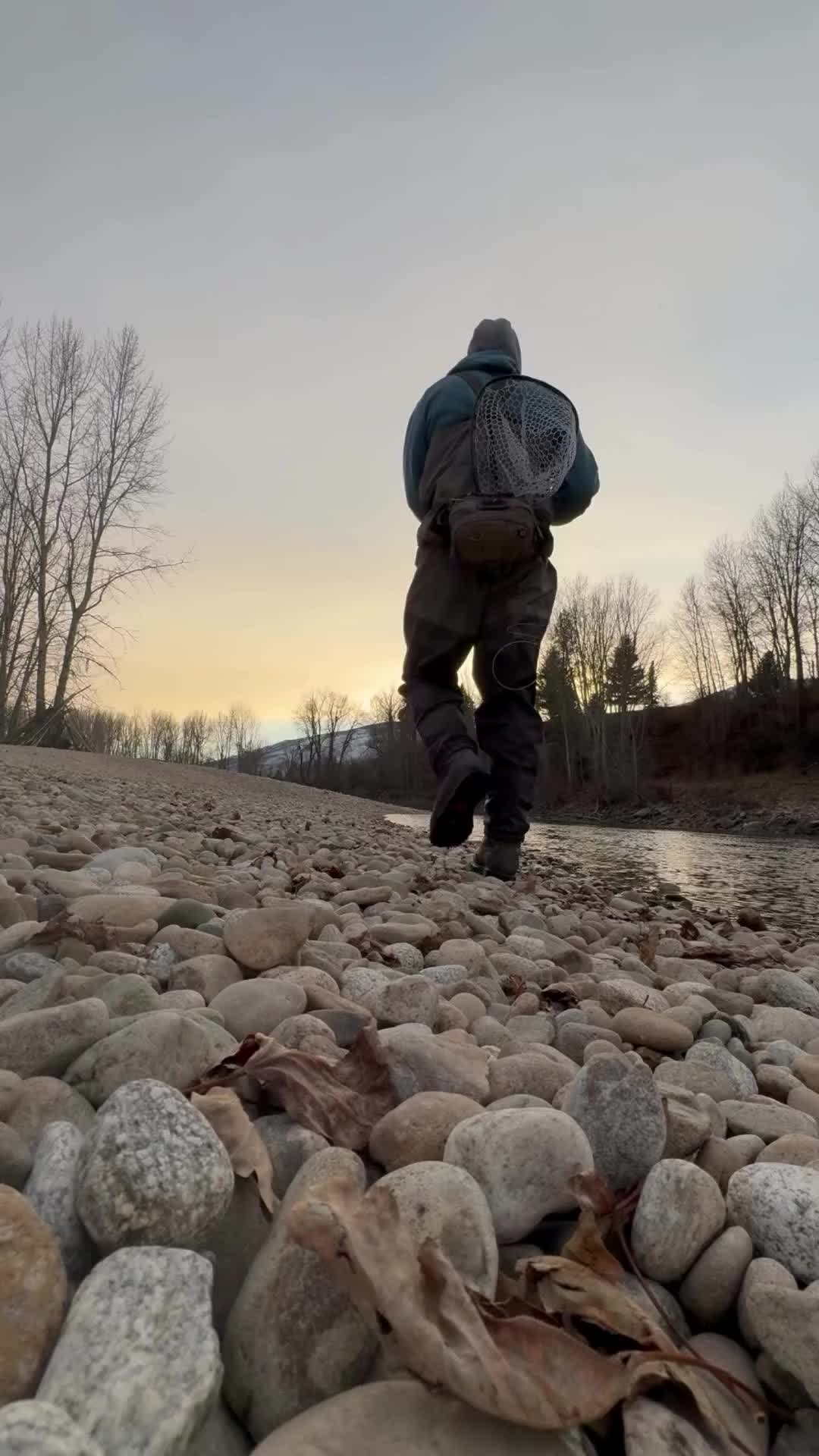 @Maxcatch Fishing Official