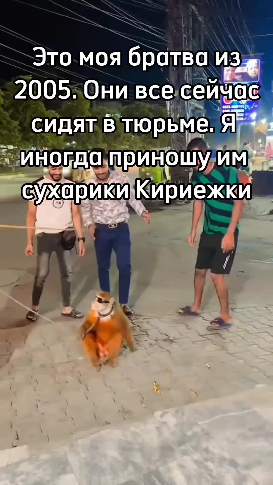 @GifkiCmakakami