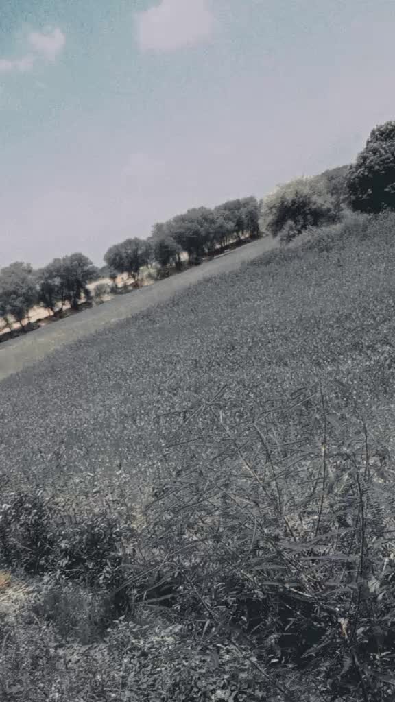 @shoaibshah