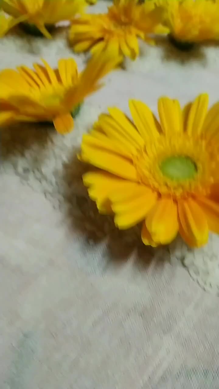 @Priyaammu
