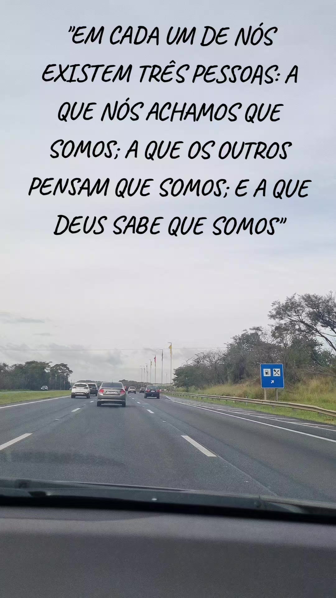 @meirecastilho932