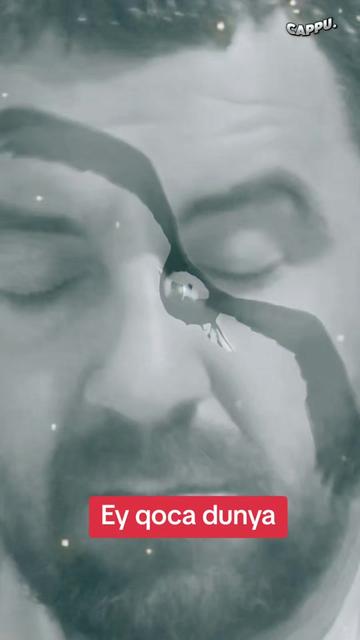 @🪓🪓🔪🔪 QƏSSAB_NÖMRƏ 1 🪓🪓🔪