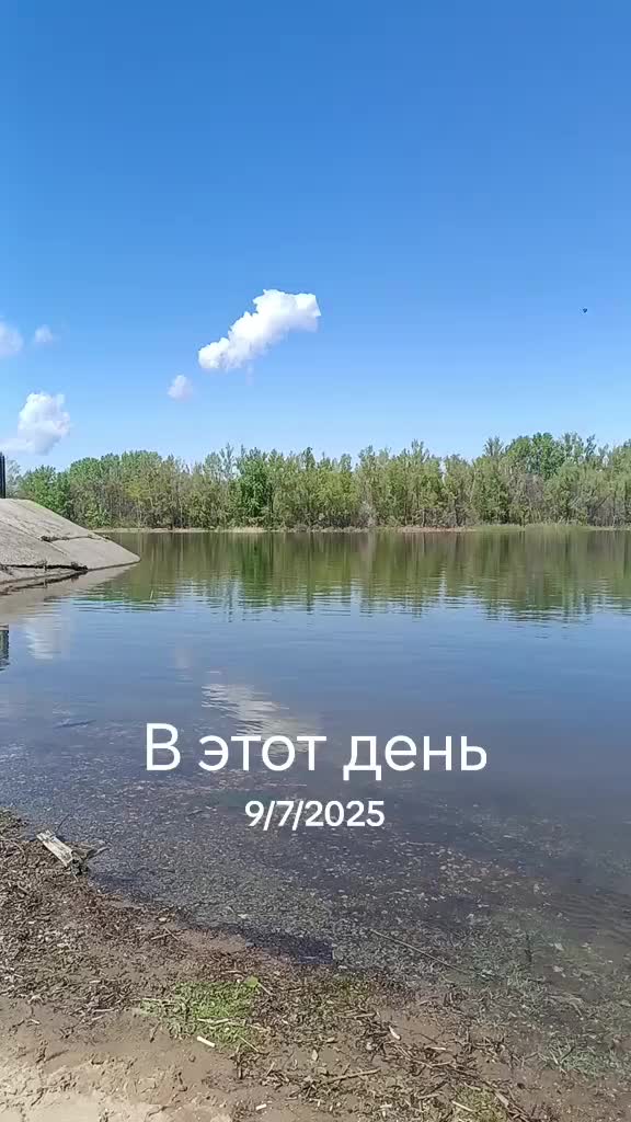 @Elena08061988