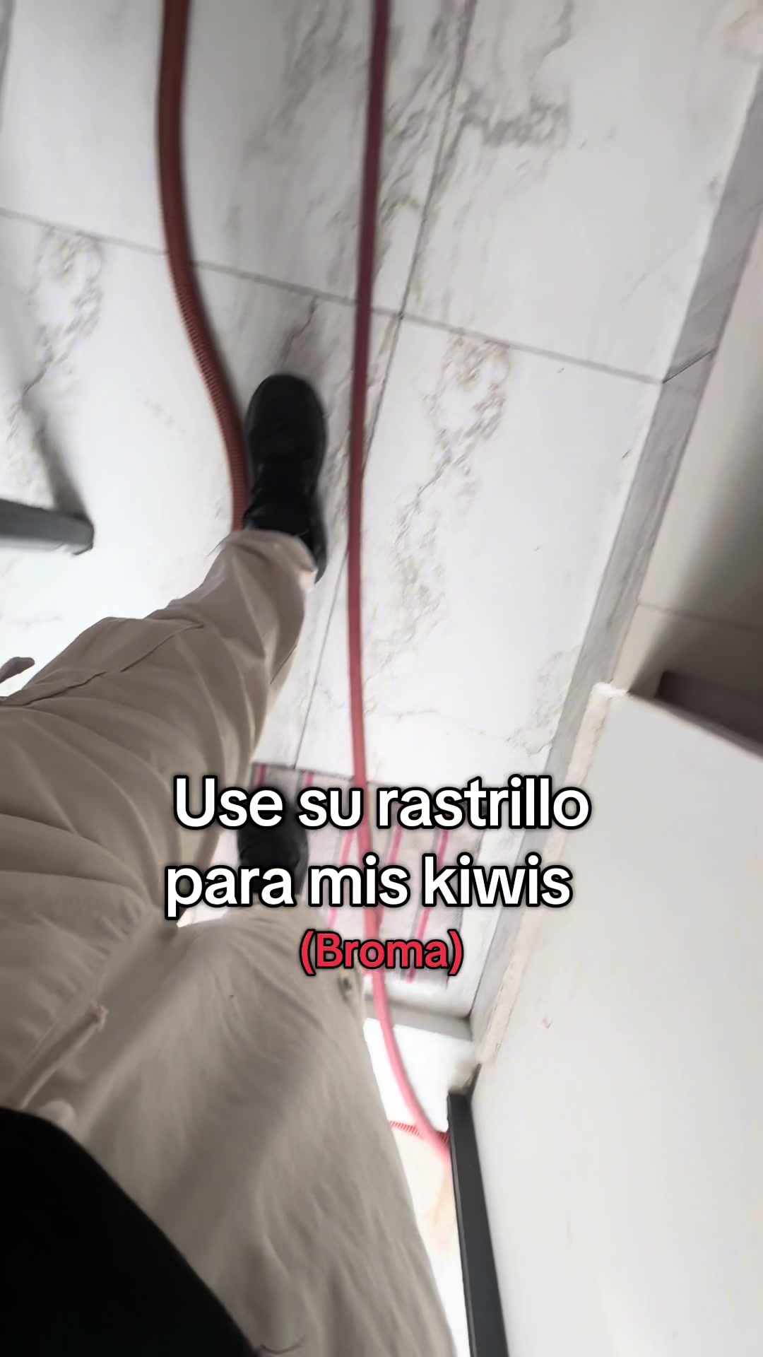 @El Tan Novio