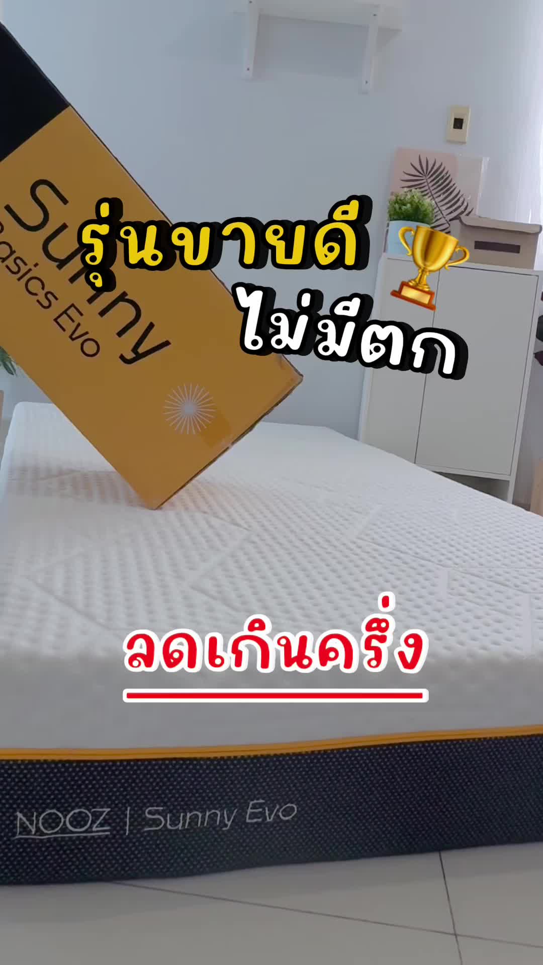 @Nooz Sleep