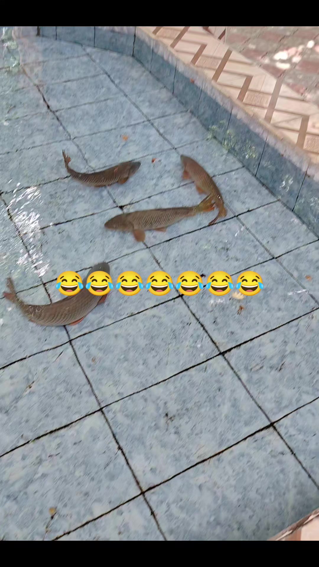 @★꧁☞❦♎️❦ⒼⓊⓁⓊ_⑤⑦❦♎️❦꧂★