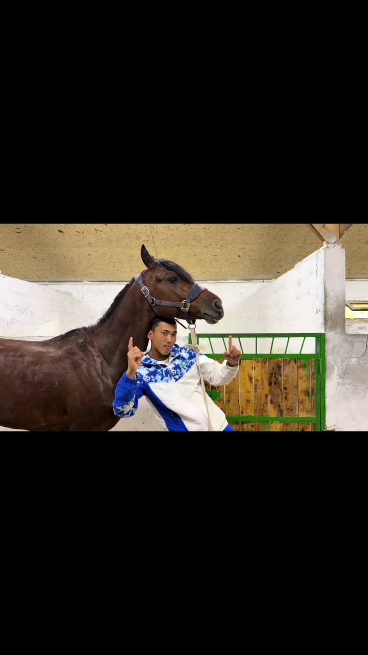 @akshatau_horses