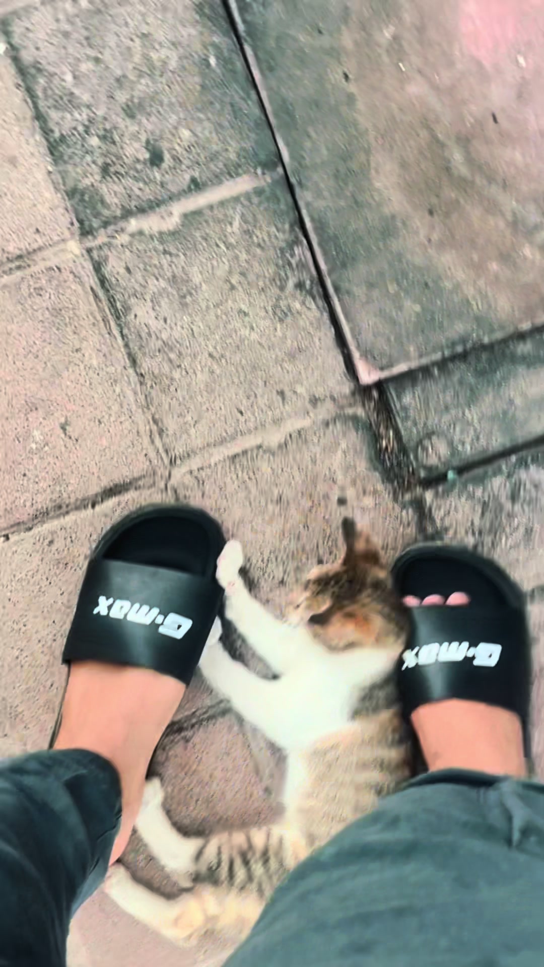 @м 𝐇 𝒹 𝑅𝓊𝓀𝓈𝒽𝒶𝓃