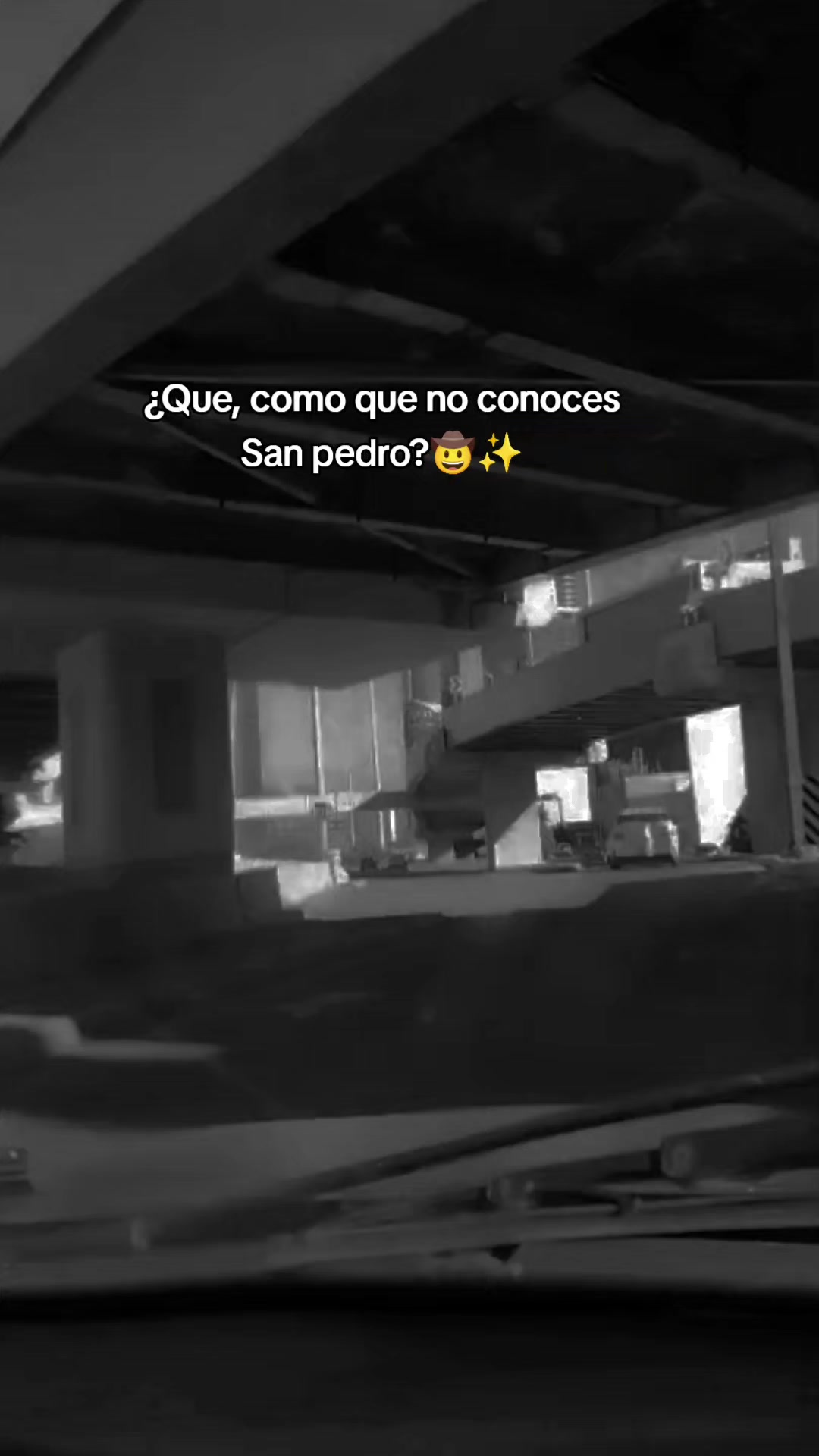 @vecky