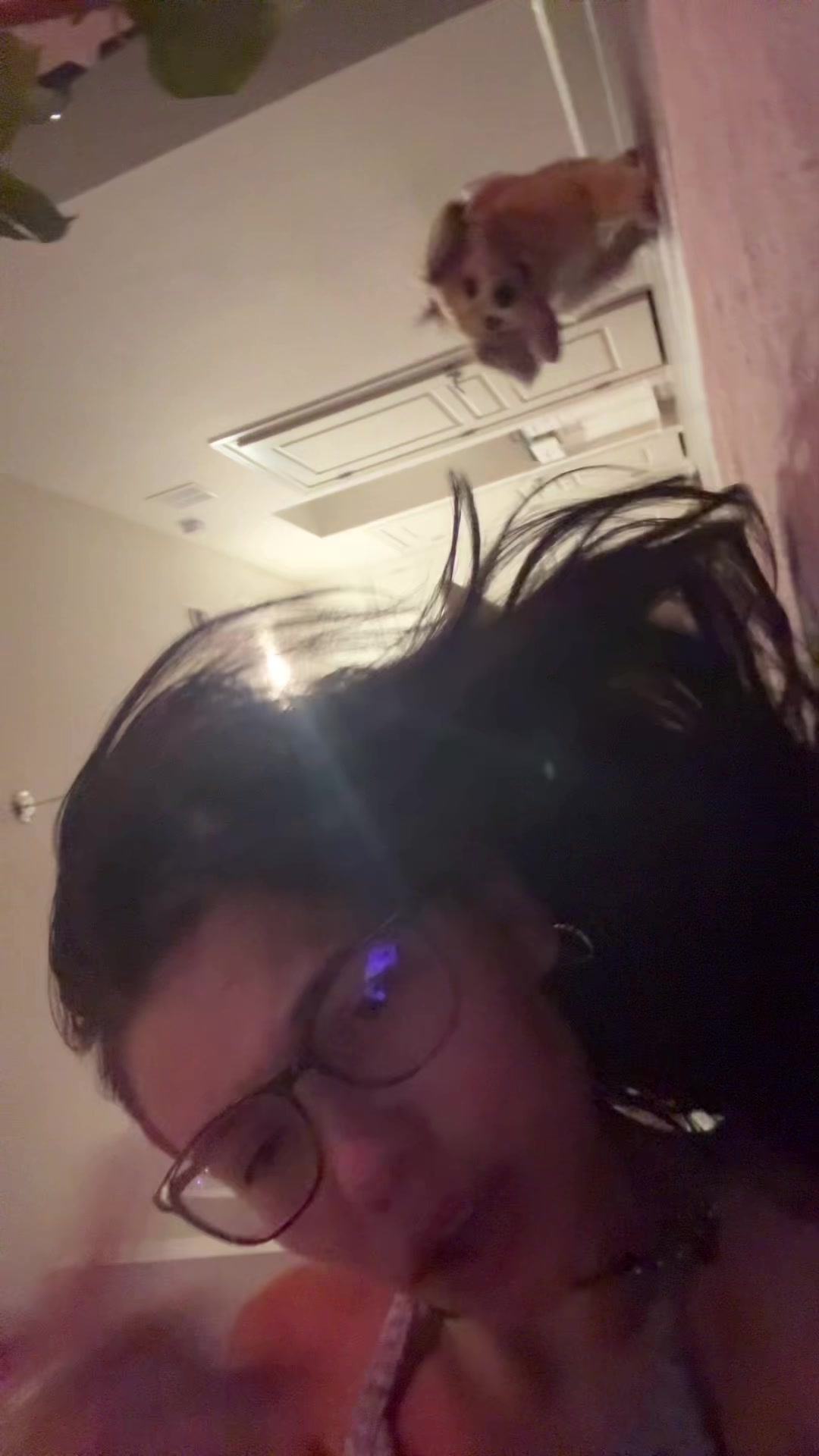 @Pootiepooter3000
