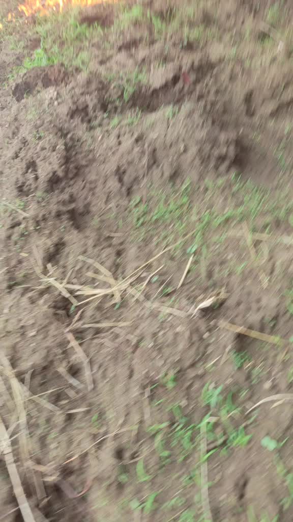 @Chintu Yadav