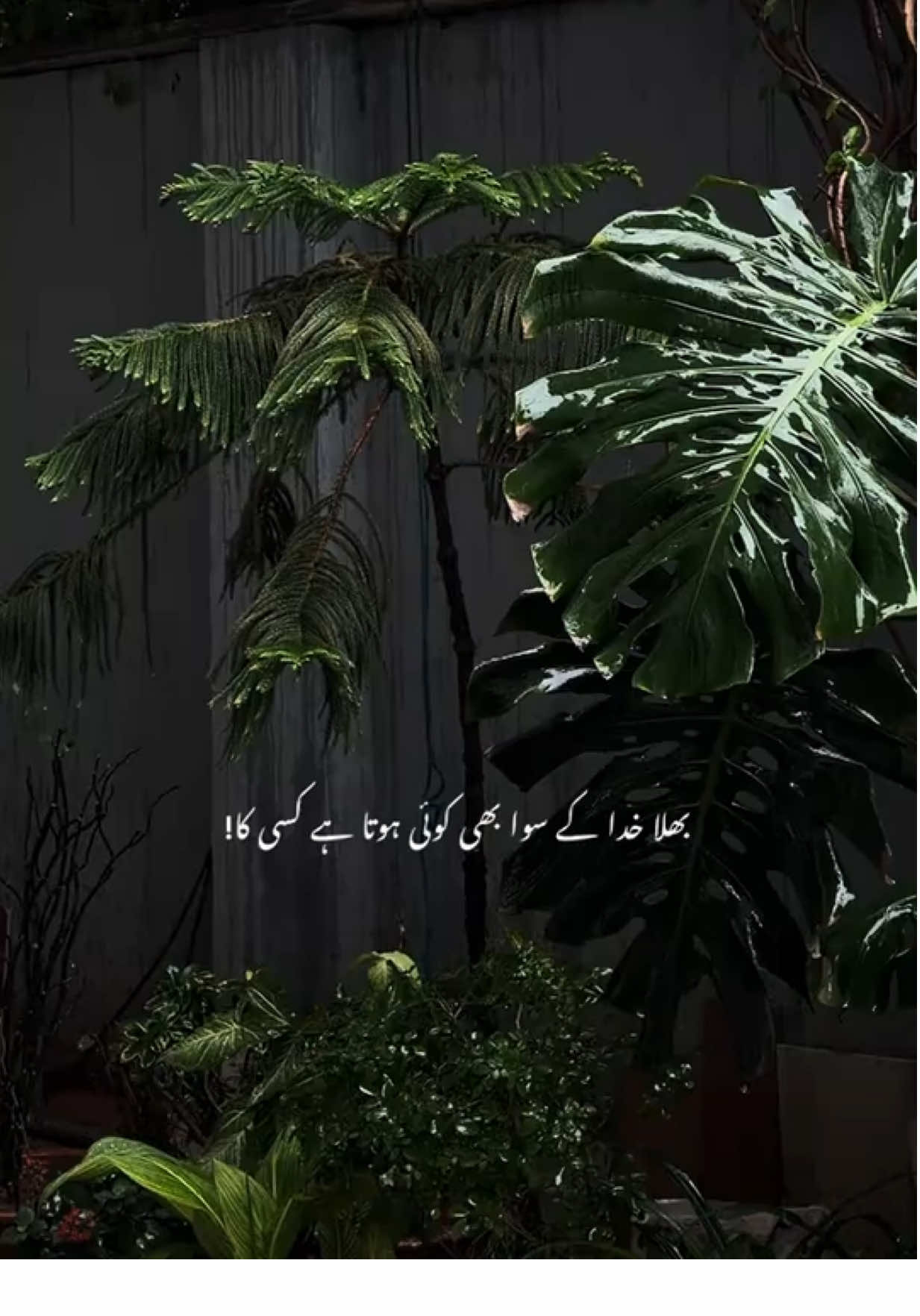 @Huzaifa
