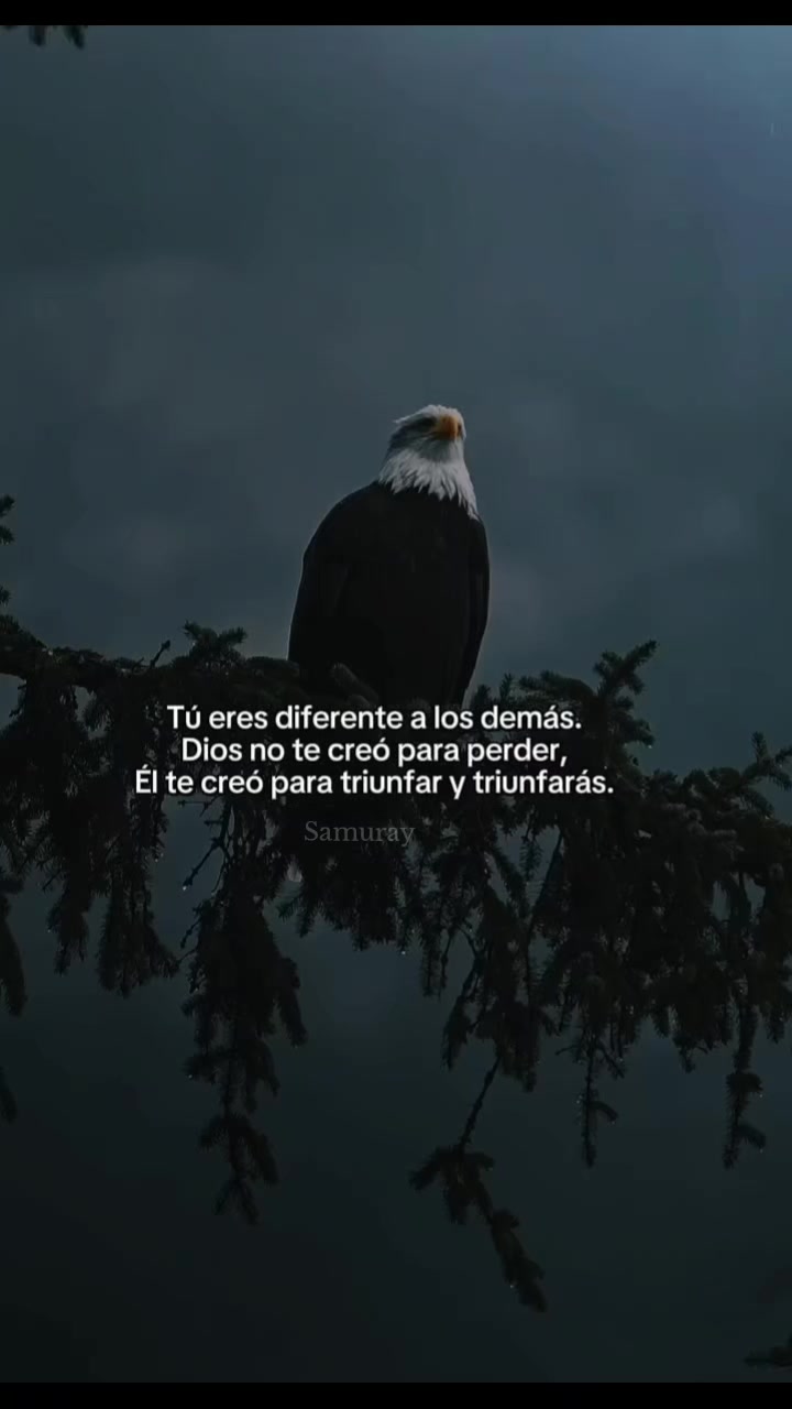 @Samuray ⚔️