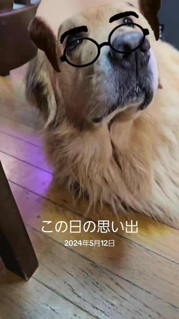 @🍐日下アレックス🍐