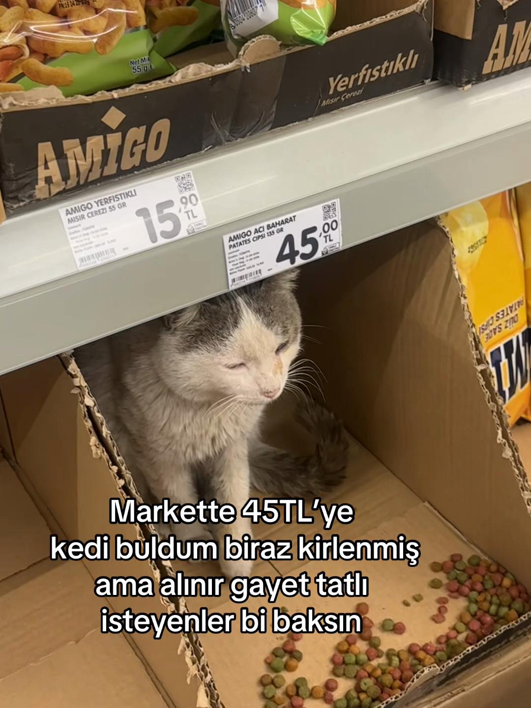 @Ayça