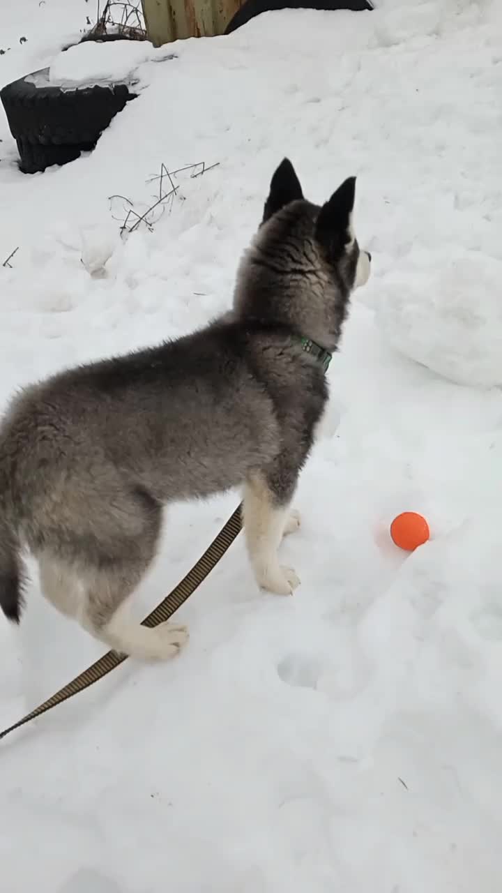 @просто Майа 💗