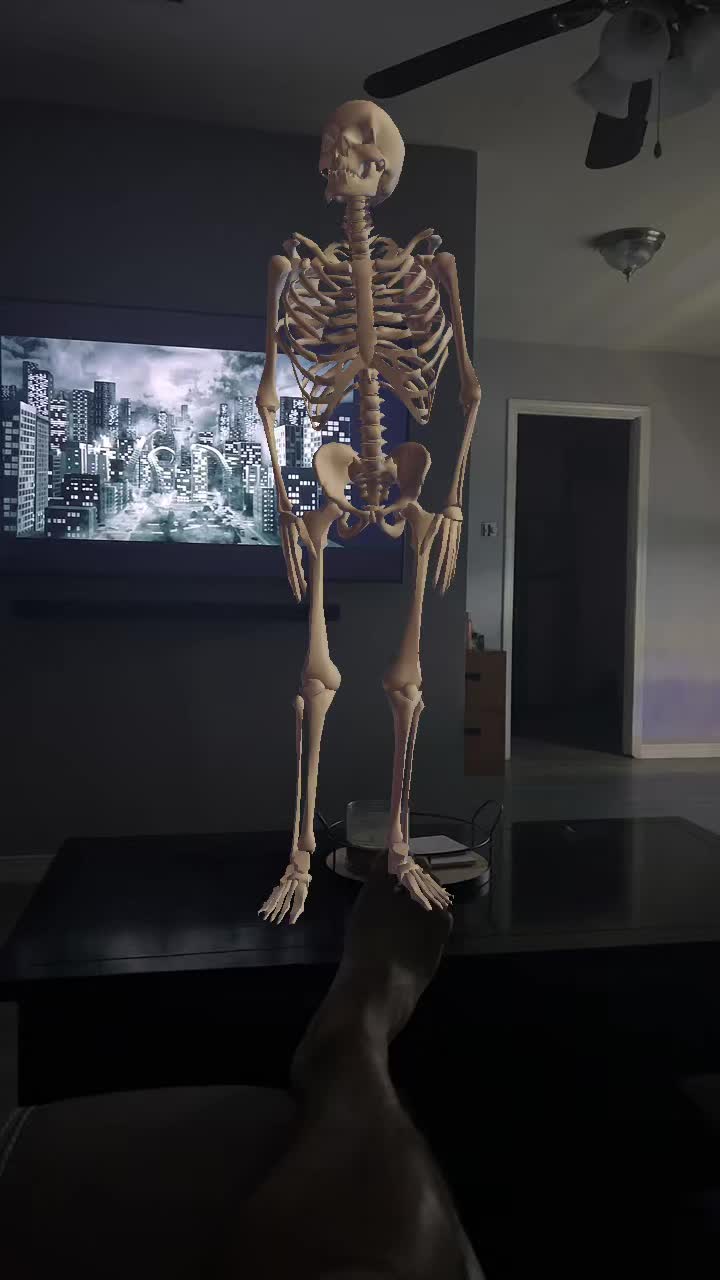 @Brookelsu