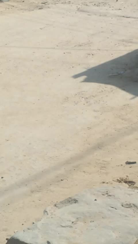 @Shahbaj Shaik