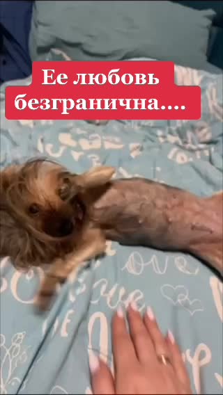@Данута Манюк