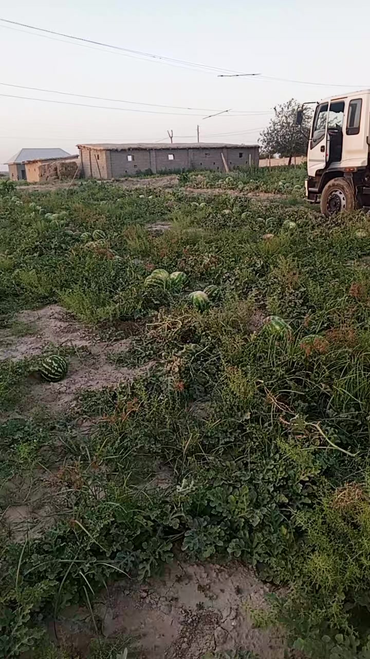 @telav