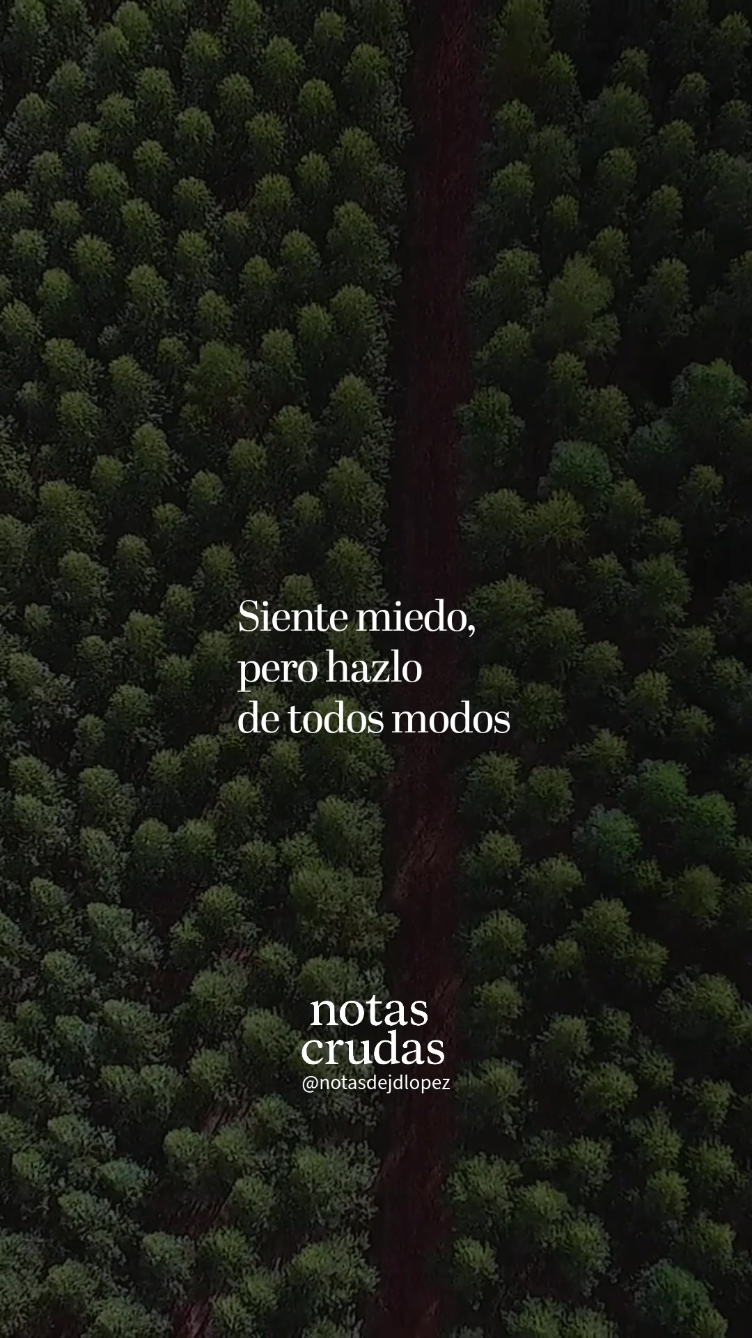 @Notas Crudas