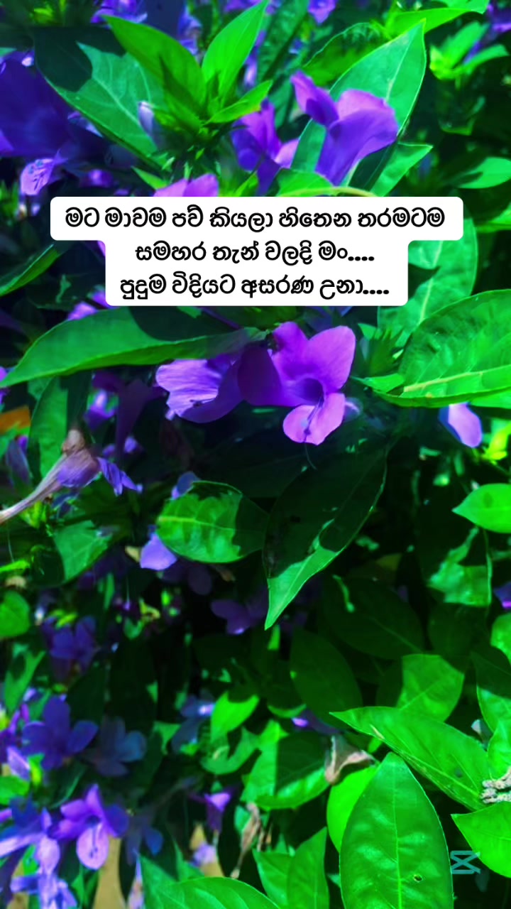 @bandaracreation107