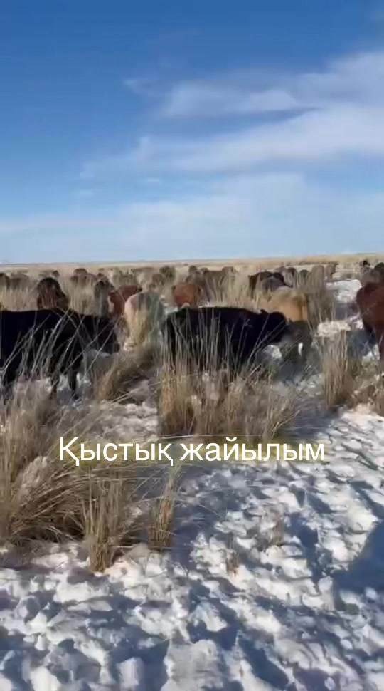 @kh_akferma09