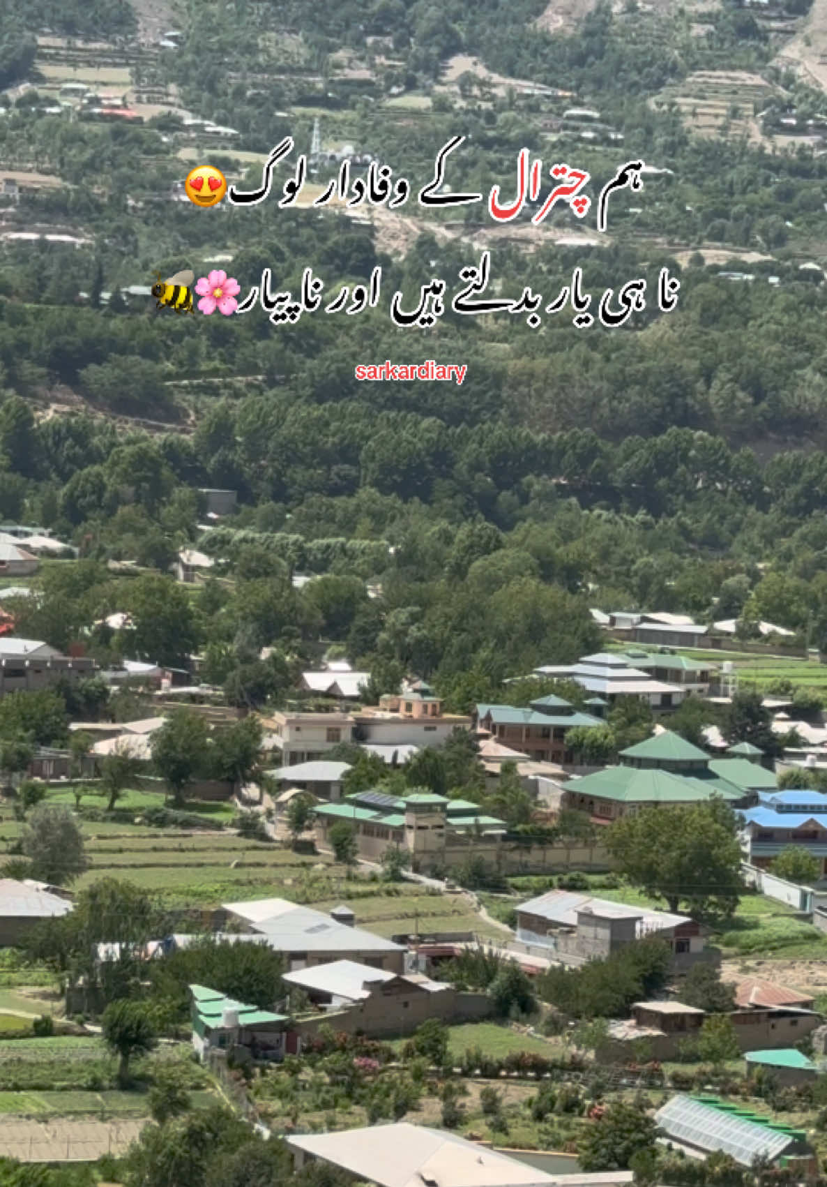 @🦋س ر ک ا ر 🦋