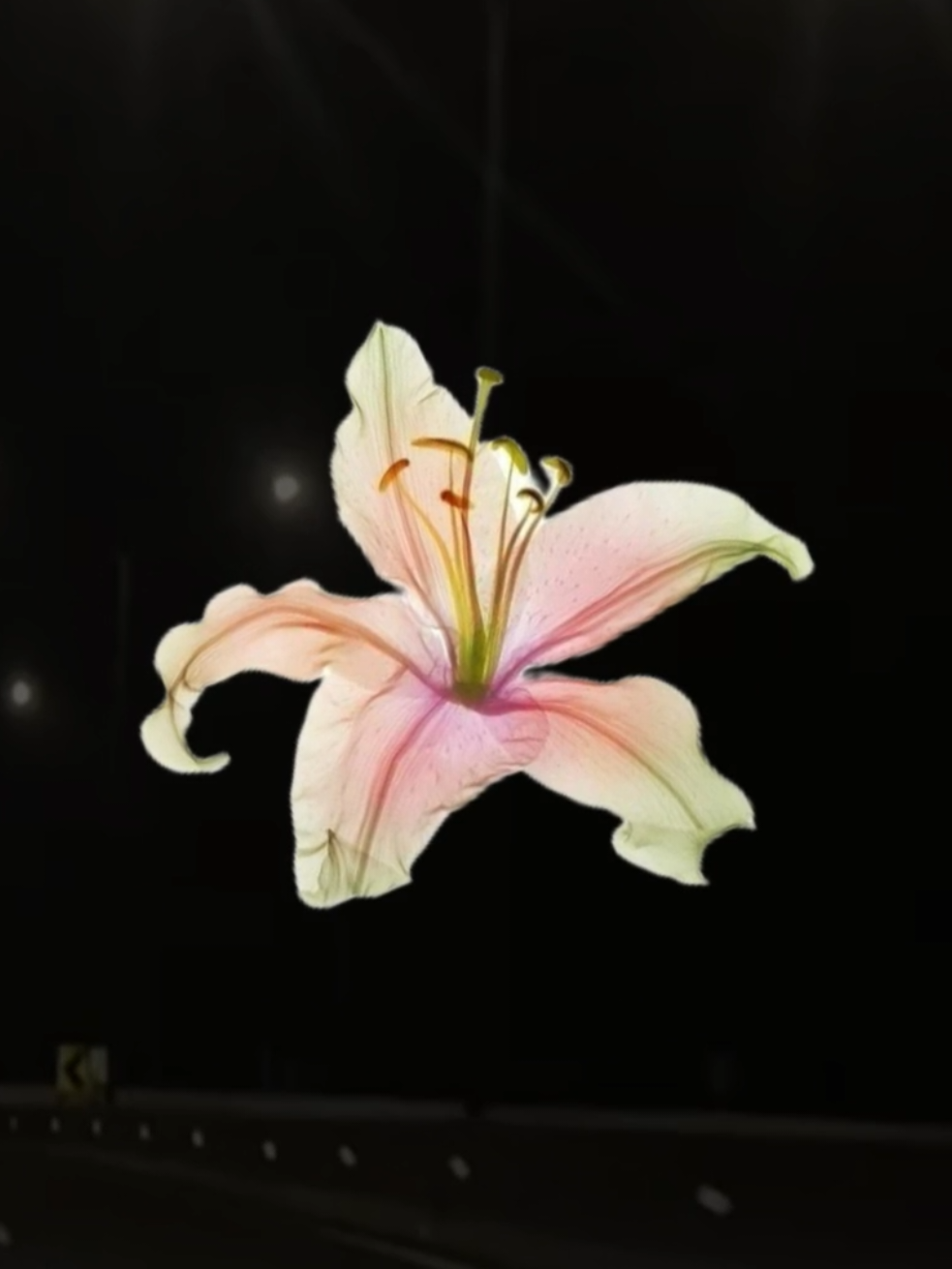 @𝐗𝐕𝐈 𝐀.𝐂