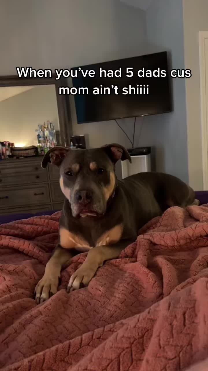 @Ricotrap