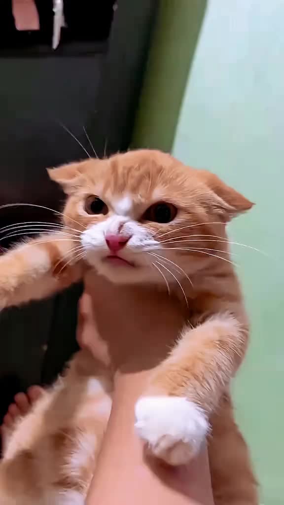 @Vova_Prime