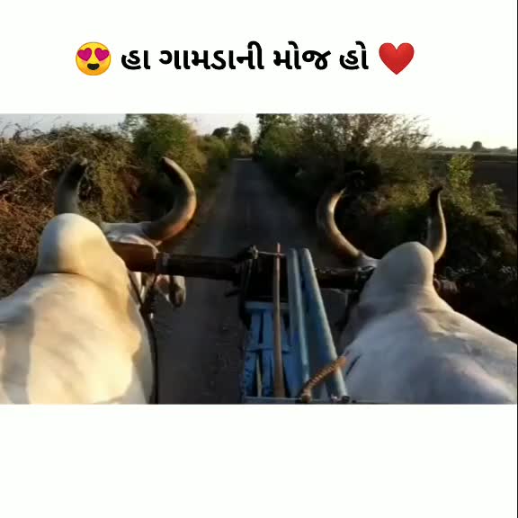 @Chirag_Prajapati_