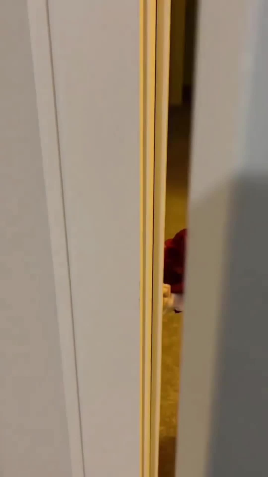 @ТётяКотик