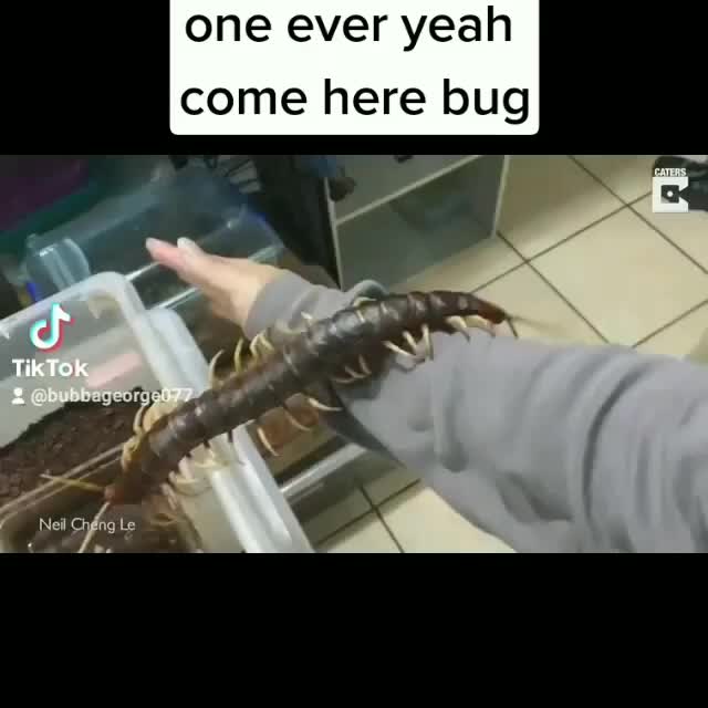 @Tik Toker