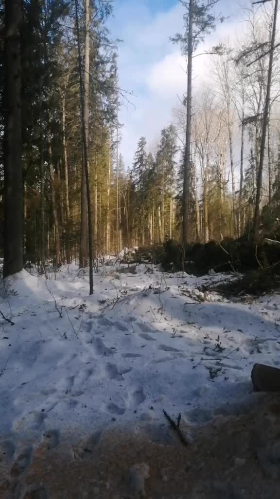 @Андрей Шубин