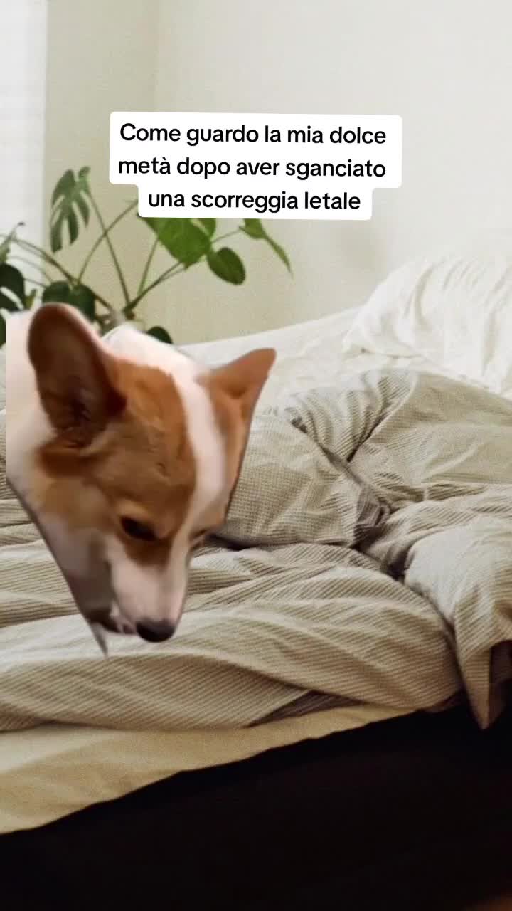 @Catzatte
