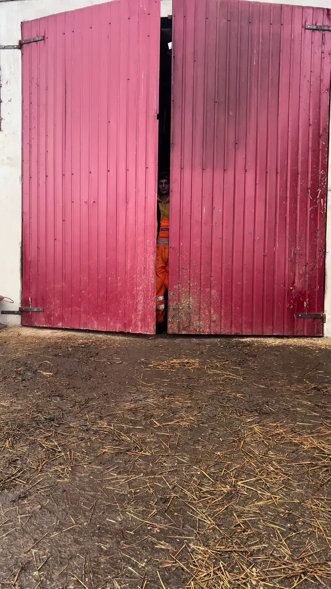 @sz.boti