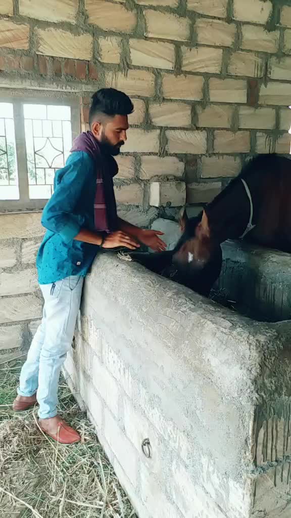 @Ahir Alpesh