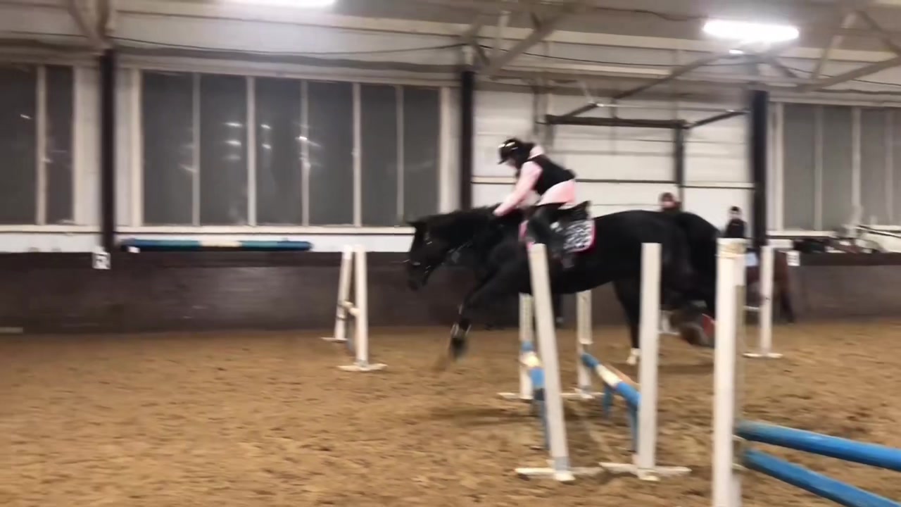 @horse riders