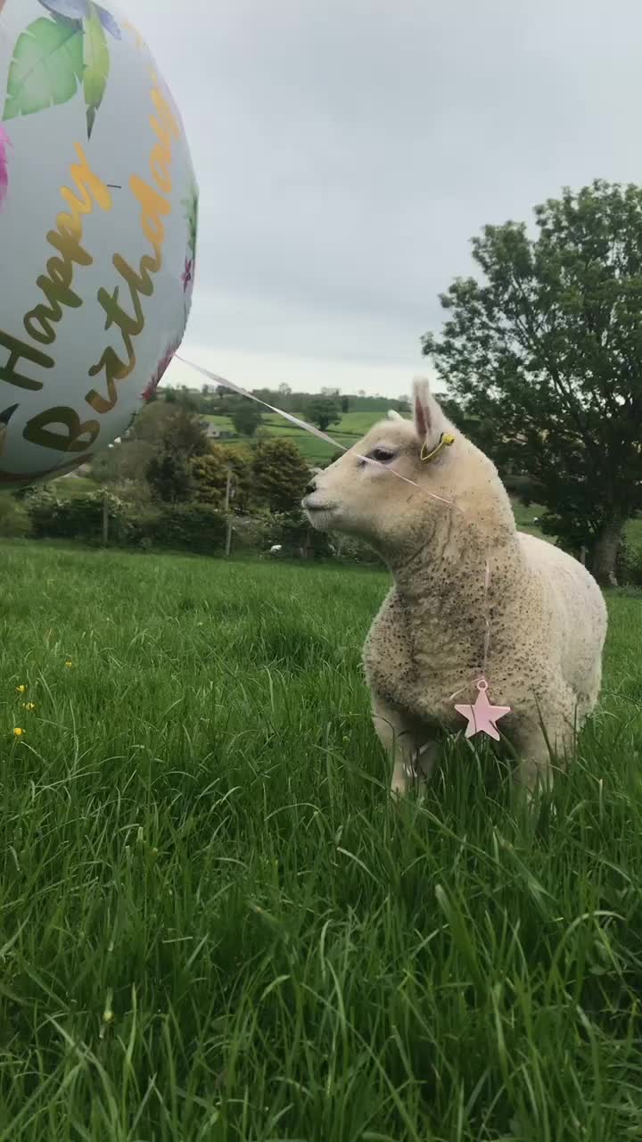 @FARMvisor