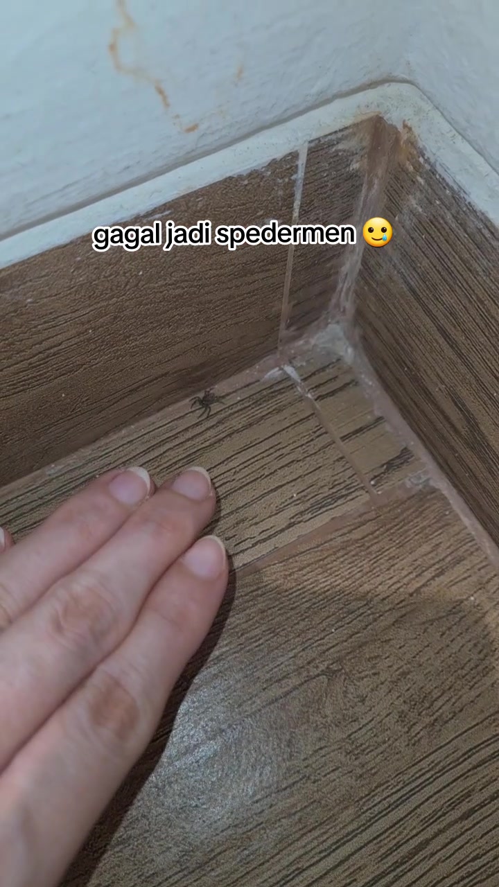 @monvann