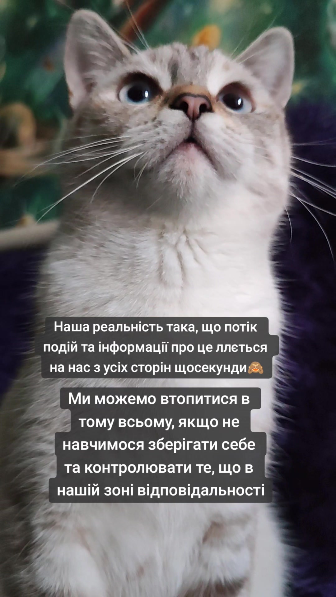 @Оксана Семак