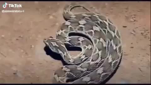 @user3172024247331