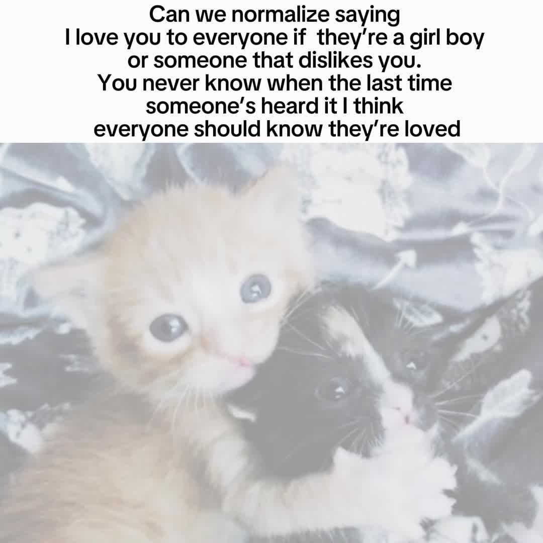 @ijingledhisballs