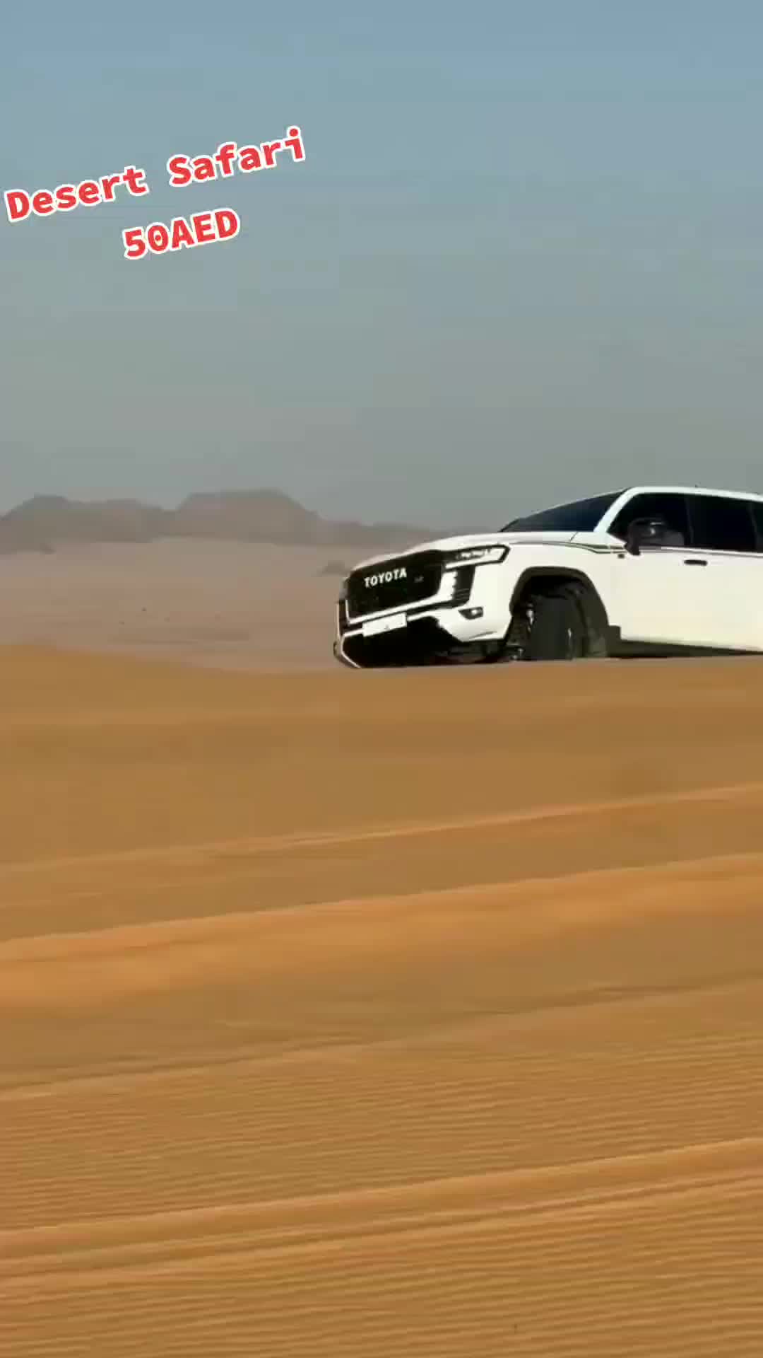 @Arabians Tour