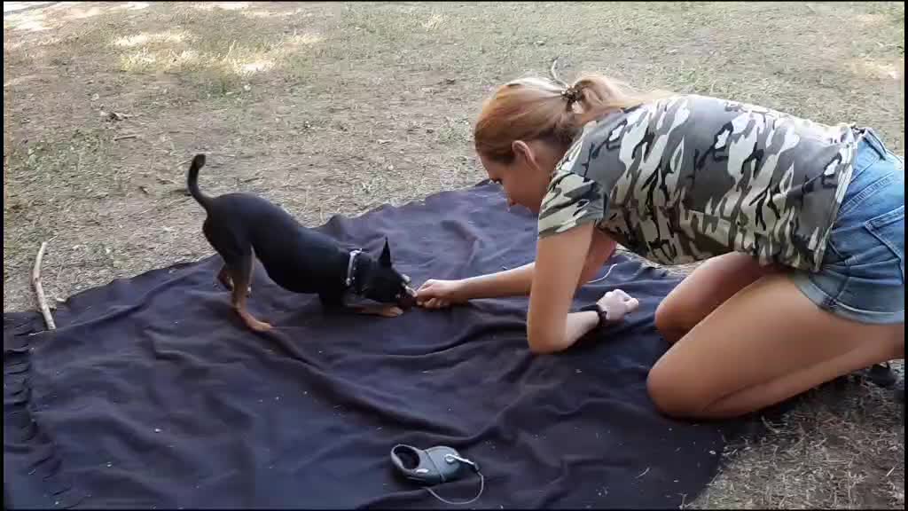 @Наташа Порядина
